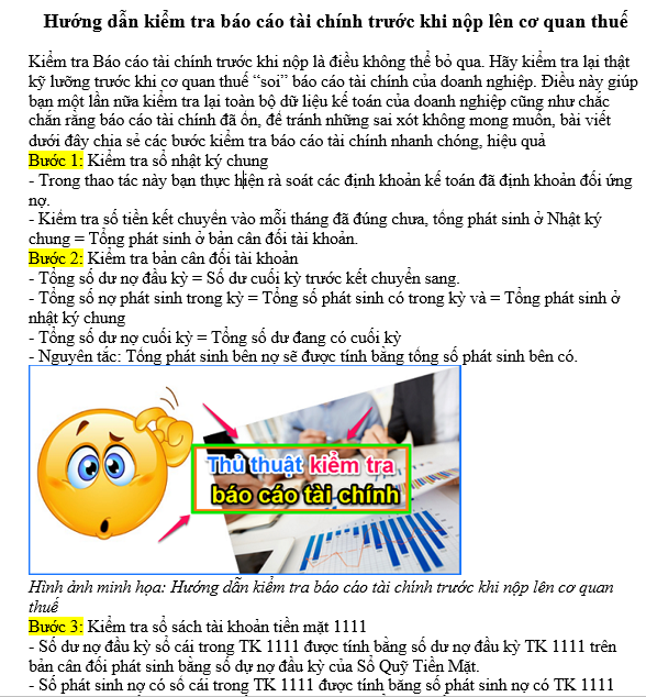 Hướng dẫn kiểm tra báo cáo tài chính trước khi nộp lên cơ quan thuế
