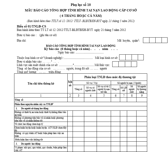 Mẫu báo cáo tình hình tai nạn lao động cấp cơ sở