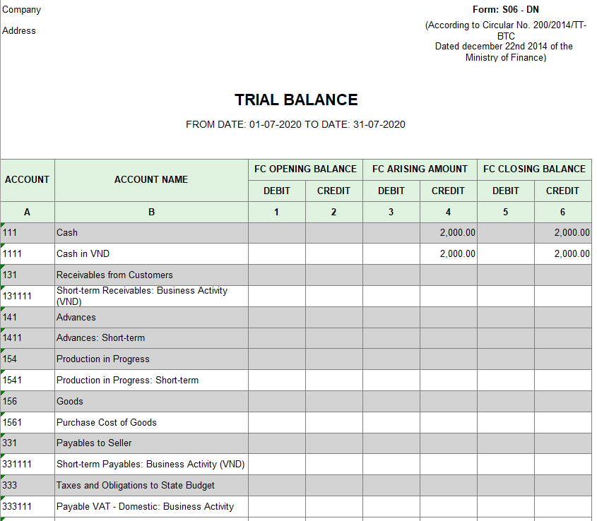 Mẫu bảng cân đối phát sinh các tài khoản theo TT200 ( TIẾNG ANH - Ngoại tệ)