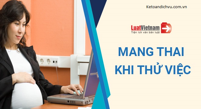 Mang thai trong thời gian thử việc có bị đuổi việc không?