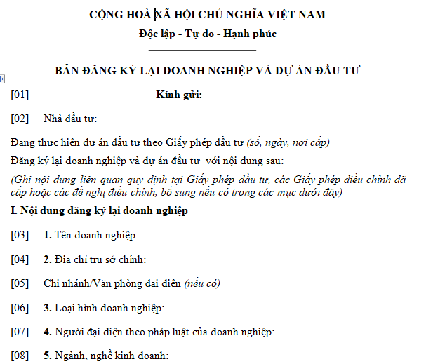 Mẫu bản đăng ký lại doanh nghiệp và dự án đầu tư