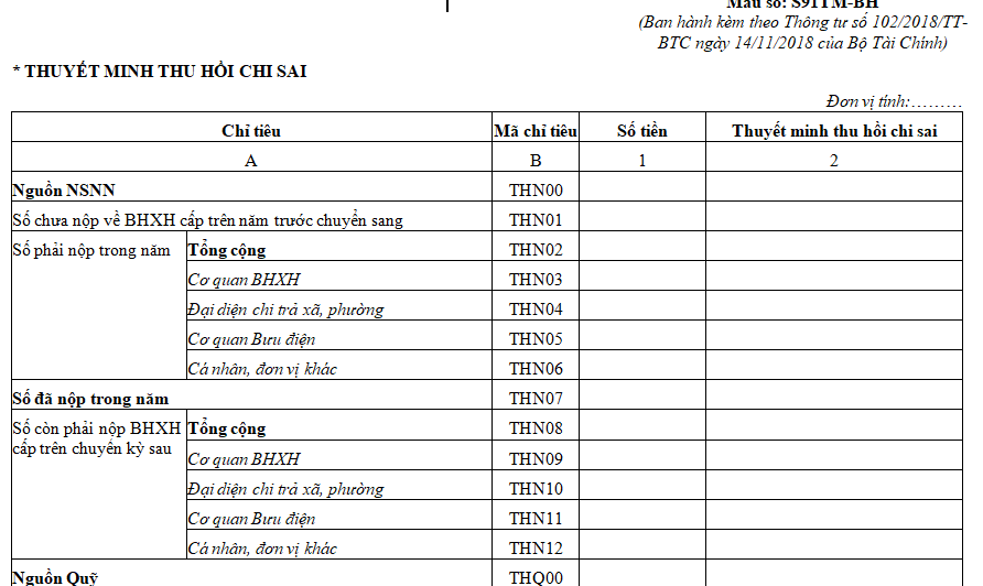 Mẫu số S91TM-BH: Thuyết minh thu hồi chi sai