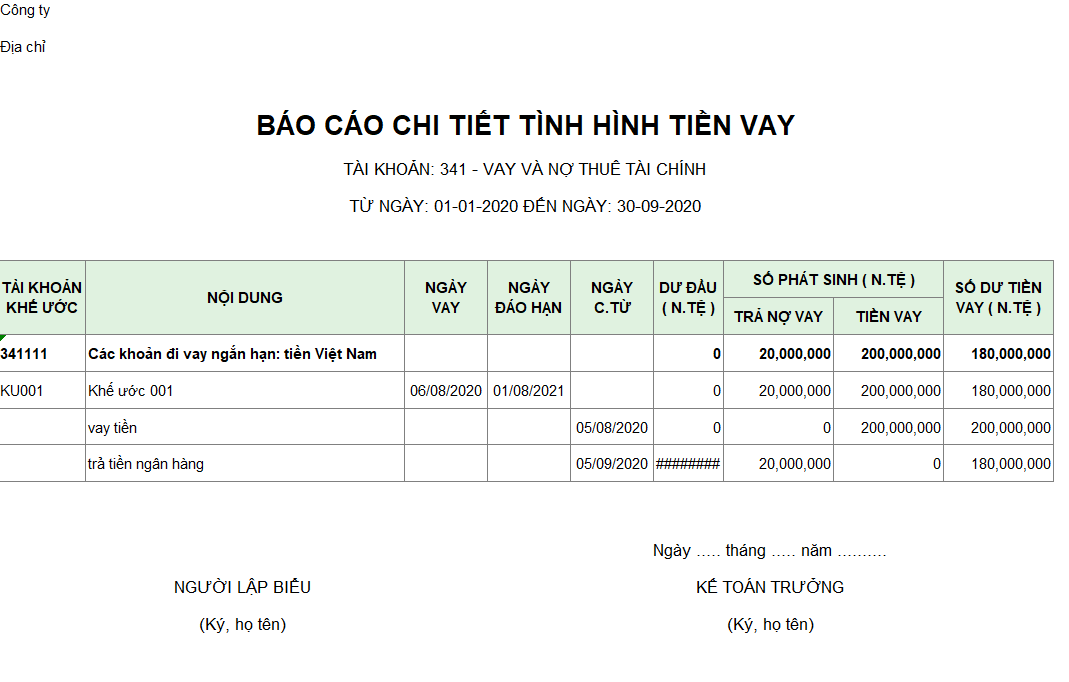 Mẫu báo cáo chi tiết tình hình tiền vay ( Ngoại tệ )