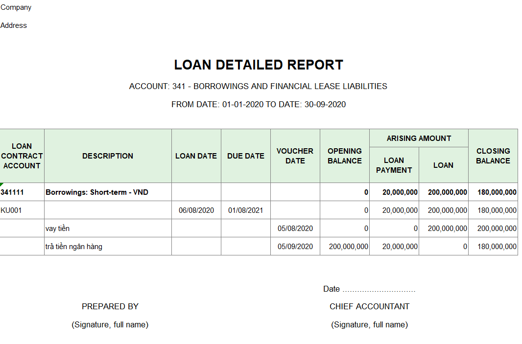 Mẫu báo cáo chi tiết tình hình tiền vay ( TIẾNG ANH )