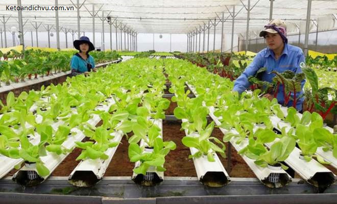 Thành lập mới hợp tác xã được hỗ trợ 100% chi phí